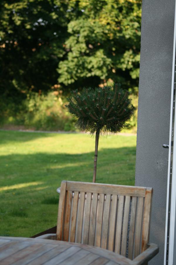The Wendy Hoose Bed & Breakfast Nairn Exterior foto