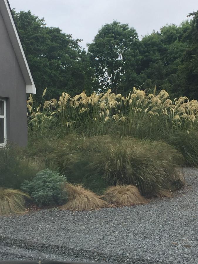 The Wendy Hoose Bed & Breakfast Nairn Exterior foto